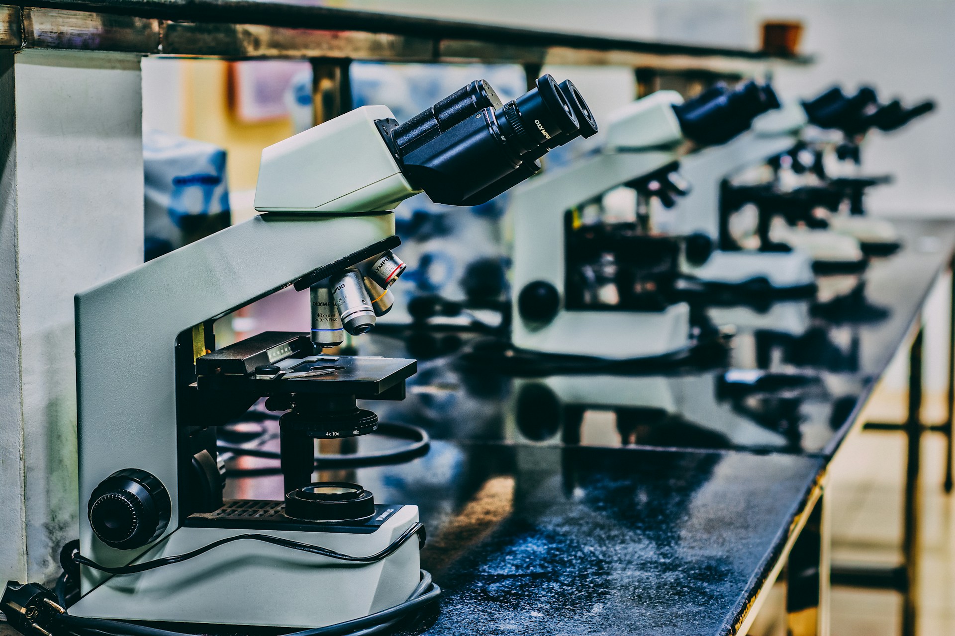 Life Sciences